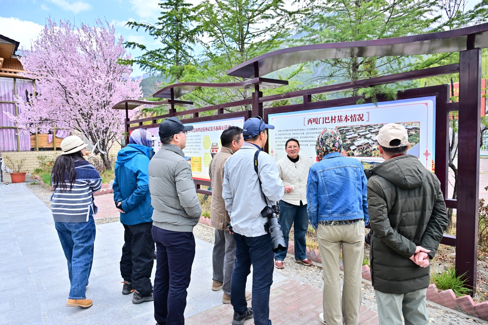 1744709122452032471.jpg 1744709122452032471.jpg