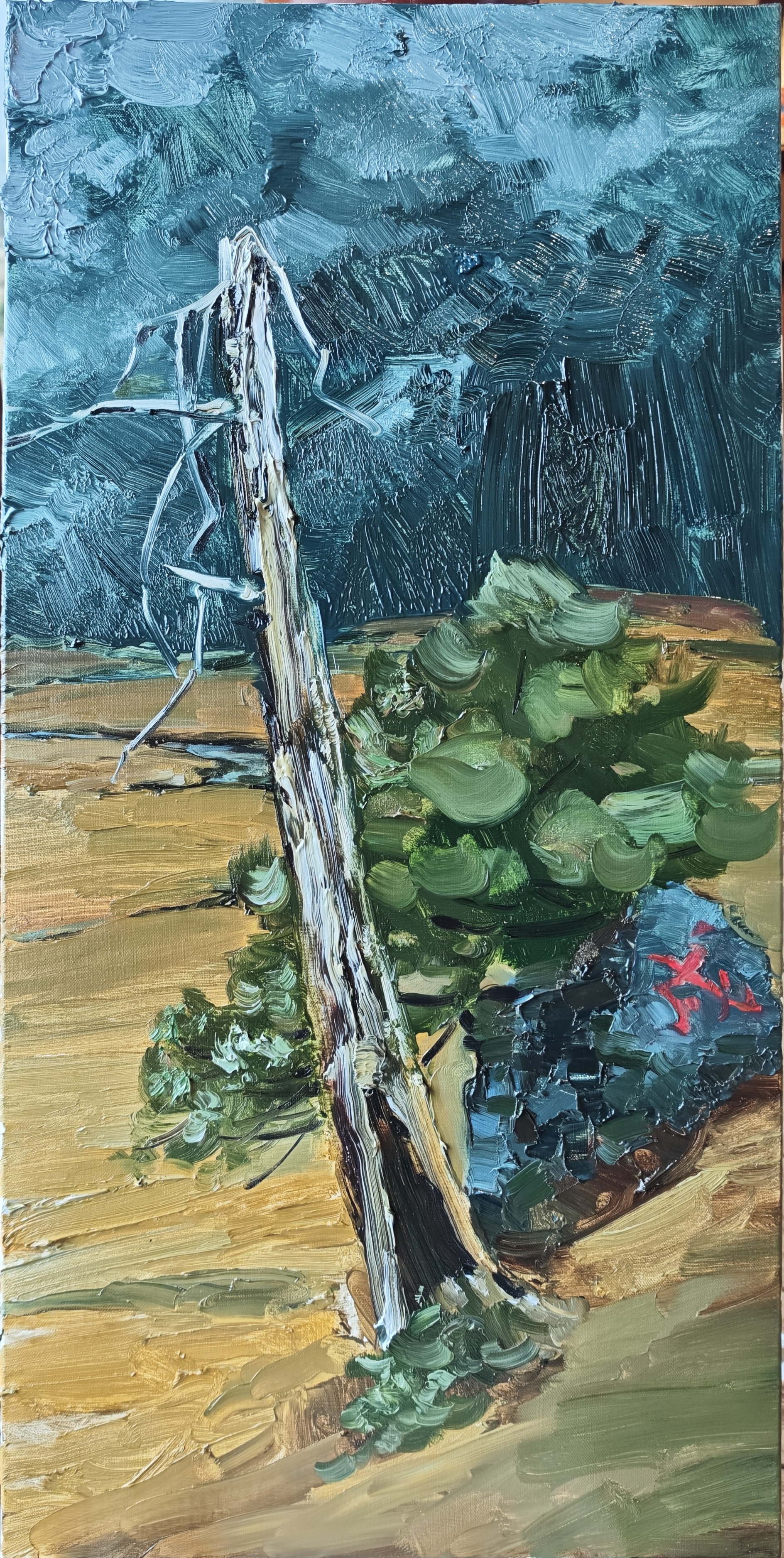 1744709175534006695.jpg 1744709175534006695.jpg