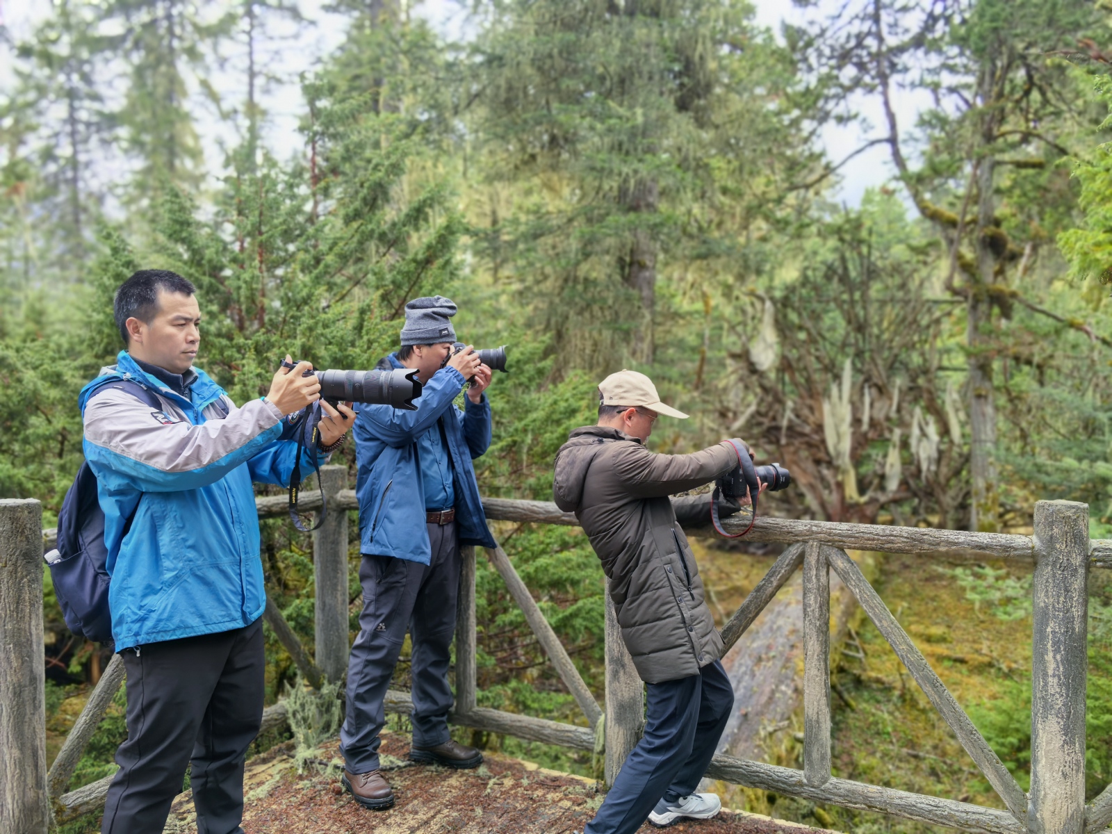 1744709204339091143.jpg 1744709204339091143.jpg